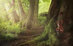 violon arbre