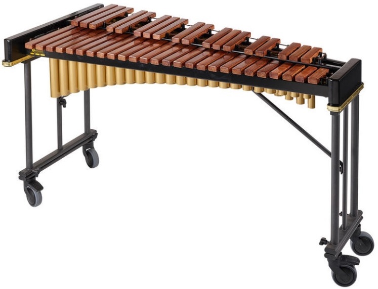 xylophone